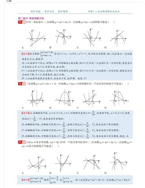 2026 版 中考数学二次函数压轴题20 大专题专项突破(含答案解析),查漏补缺,夯实基础,高清完整版可打印! 第3张