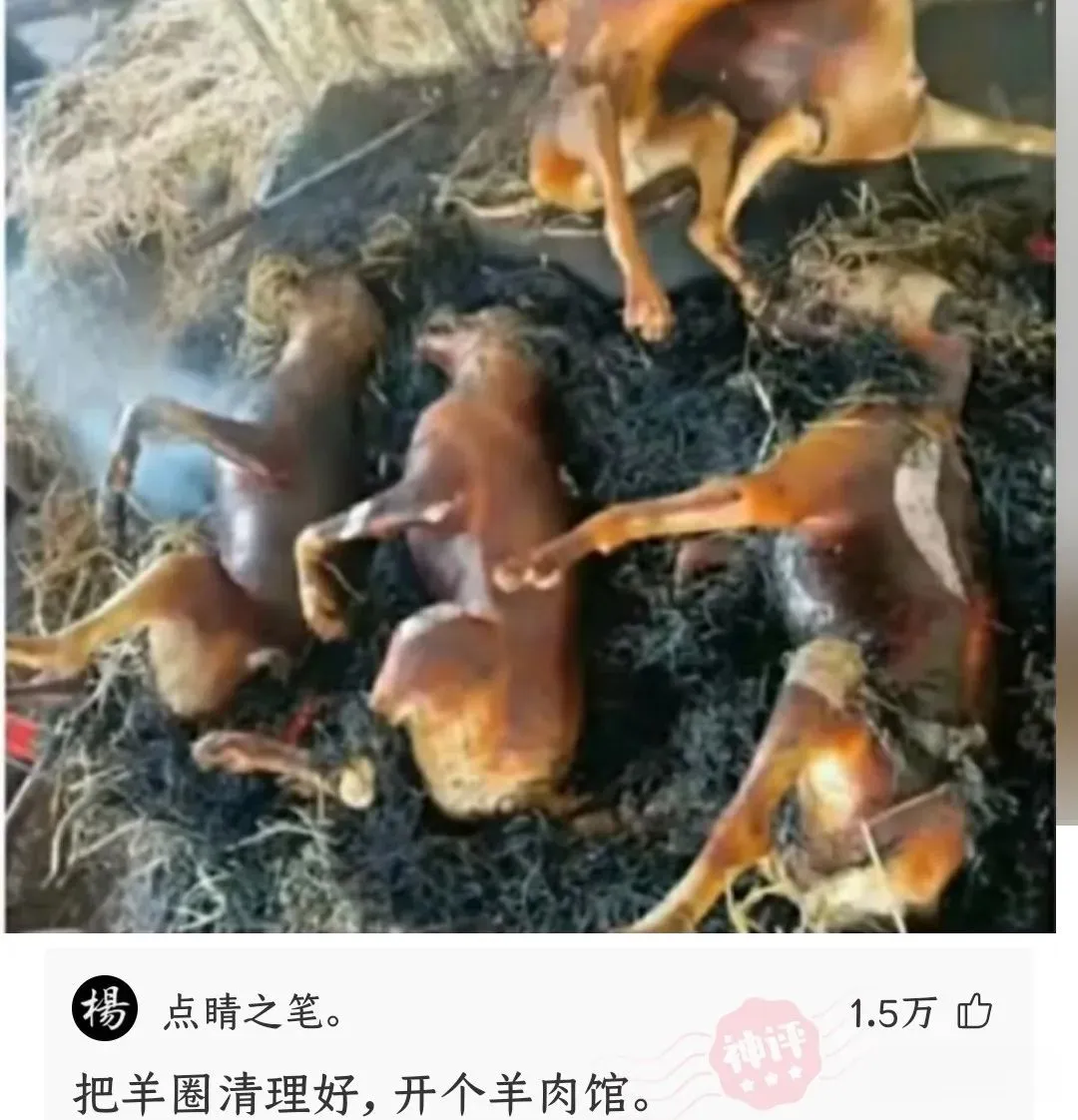 每日神评:这样批改试卷的效率真高,100份试卷3分钟就能批改完了! 第4张