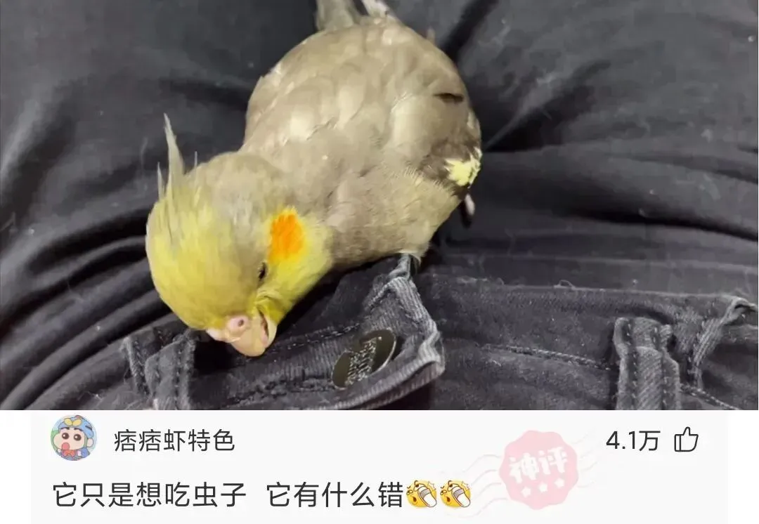 每日神评:这样批改试卷的效率真高,100份试卷3分钟就能批改完了! 第8张