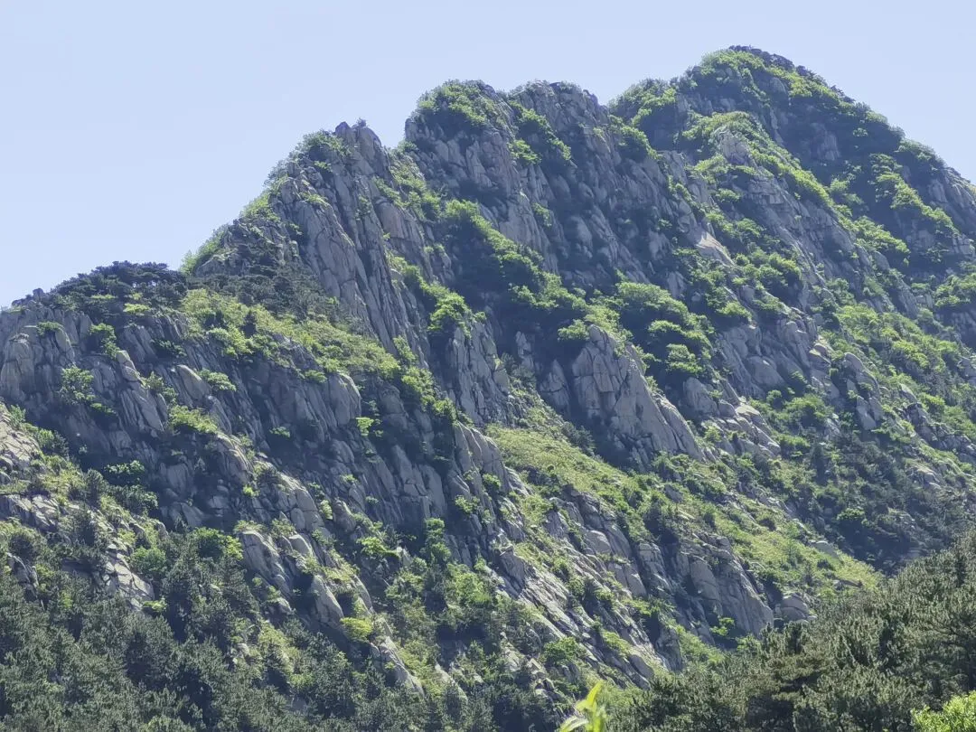 五一期间全国部分真题. 第3张