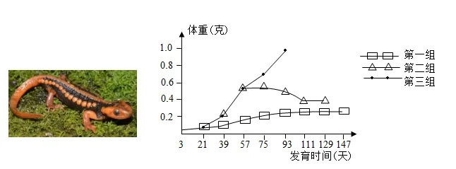 2026年中考生物押题密卷5份 第5张