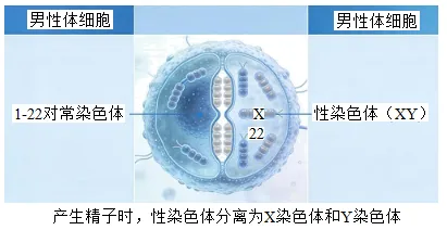 2026年中考生物选择题强化题库100题 第2张