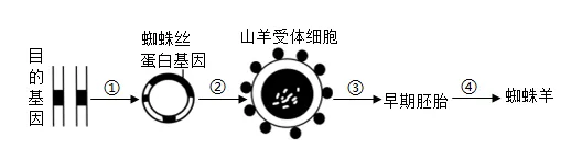 2026年中考生物选择题强化题库100题 第17张