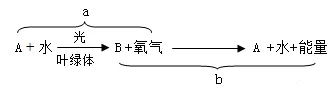 2026年中考生物选择题强化题库100题 第19张