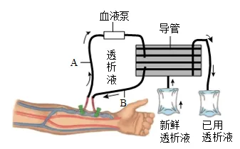 2026年中考生物选择题强化题库100题 第20张