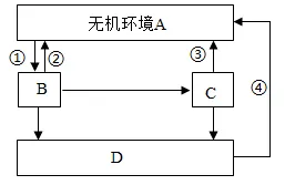2026年中考生物选择题强化题库100题 第28张