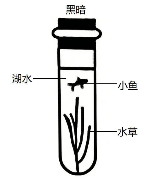 2026年中考生物选择题强化题库100题 第30张