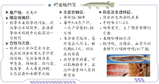 2026年中考生物资料分析题强化题库60题 第8张