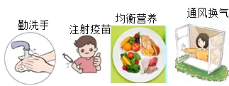 2026年中考生物资料分析题强化题库60题 第10张