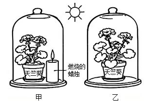 2026年中考生物选择题强化题库100题 第34张