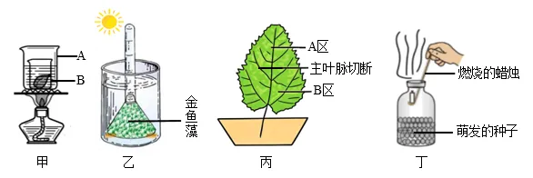 2026年中考生物选择题强化题库100题 第35张