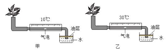 2026年中考生物选择题强化题库100题 第39张