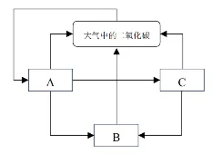 2026年中考生物资料分析题强化题库60题 第18张