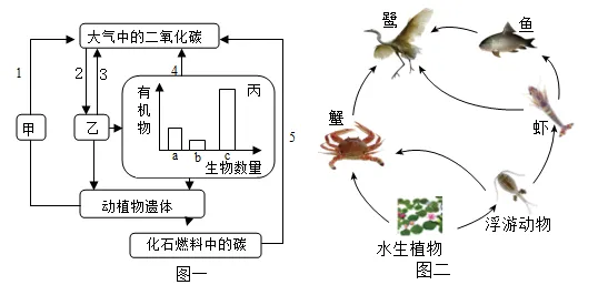 2026年中考生物资料分析题强化题库60题 第19张