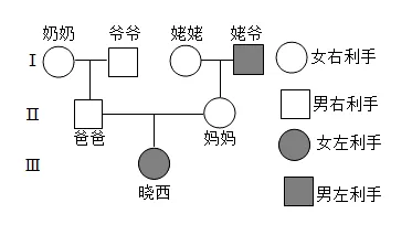 2026年中考生物选择题强化题库100题 第45张
