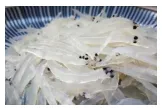 2026年中考生物资料分析题强化题库60题 第25张