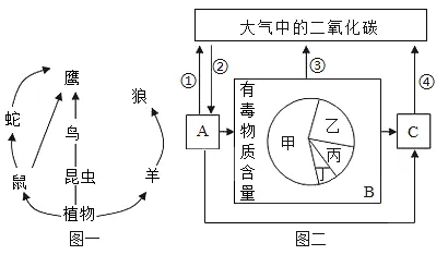 2026年中考生物资料分析题强化题库60题 第31张