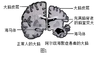 2026年中考生物资料分析题强化题库60题 第34张