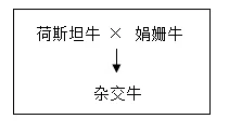 2026年中考生物资料分析题强化题库60题 第43张