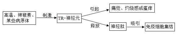 2026年中考生物资料分析题强化题库60题 第45张