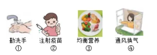 2026年中考生物资料分析题强化题库60题 第53张