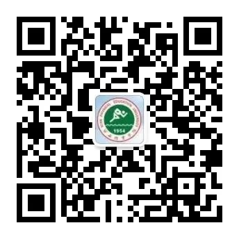 四六级模拟试卷免费发放啦! 第8张