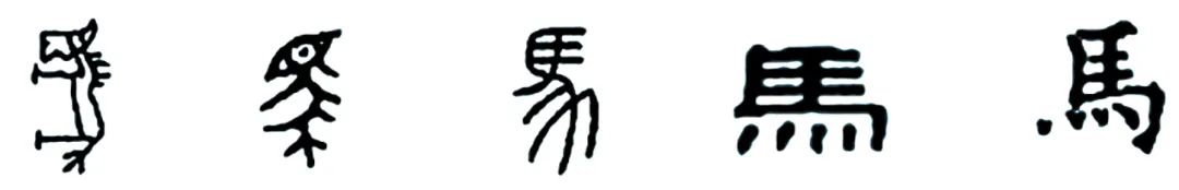 2026上海中考二模分类汇编:综合运用 第3张