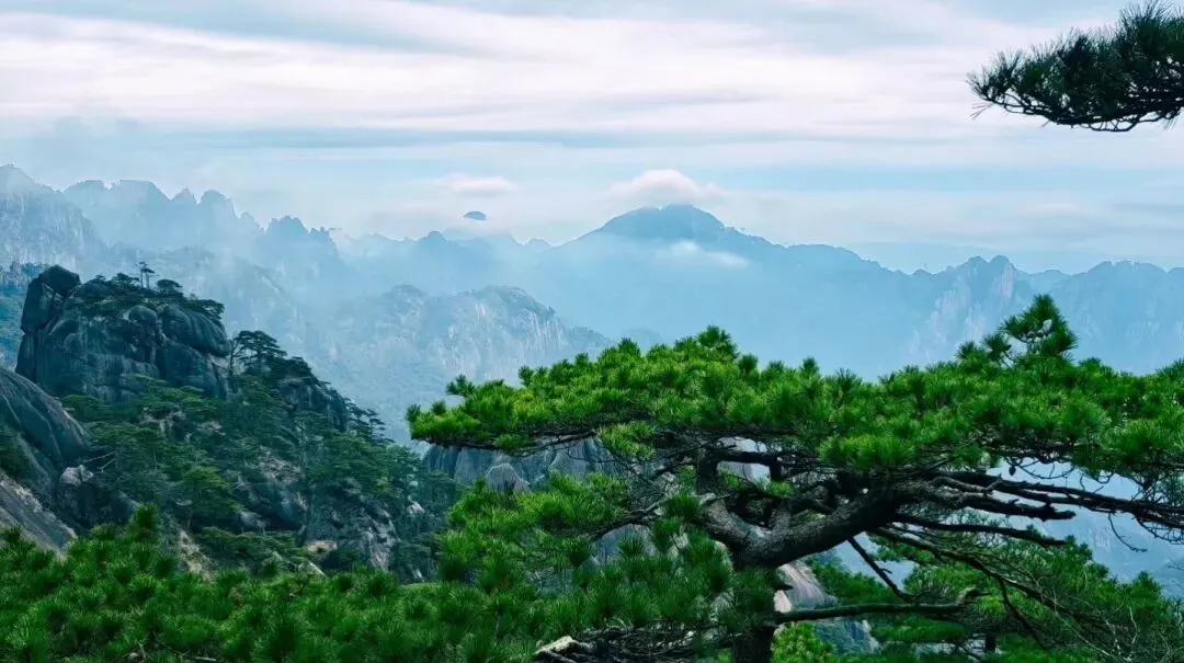 【中考优秀作文】 最美的时光 第1张