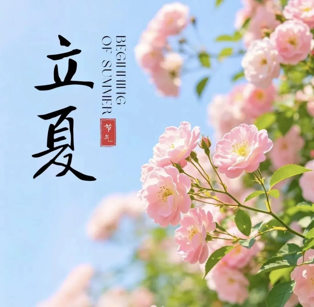中考阶段必背“145个”熟词生义词汇 第1张