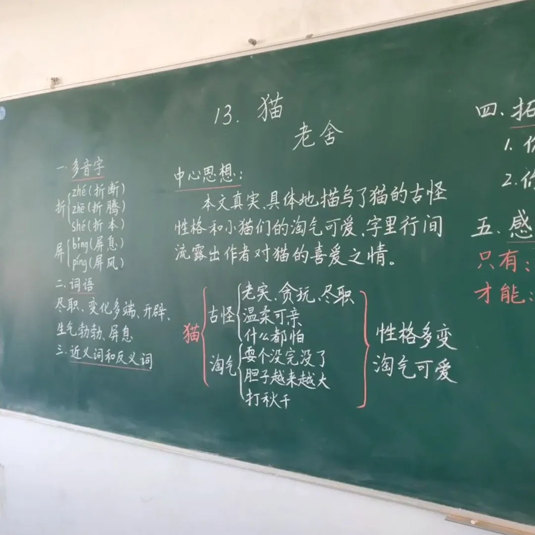 中考作文要点(下):用五感和人物描写,作文直接拉开分数差距 第2张