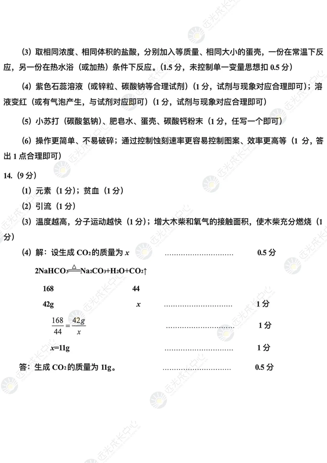 【2025-2026.全科】盐田区二模真题解析 第51张
