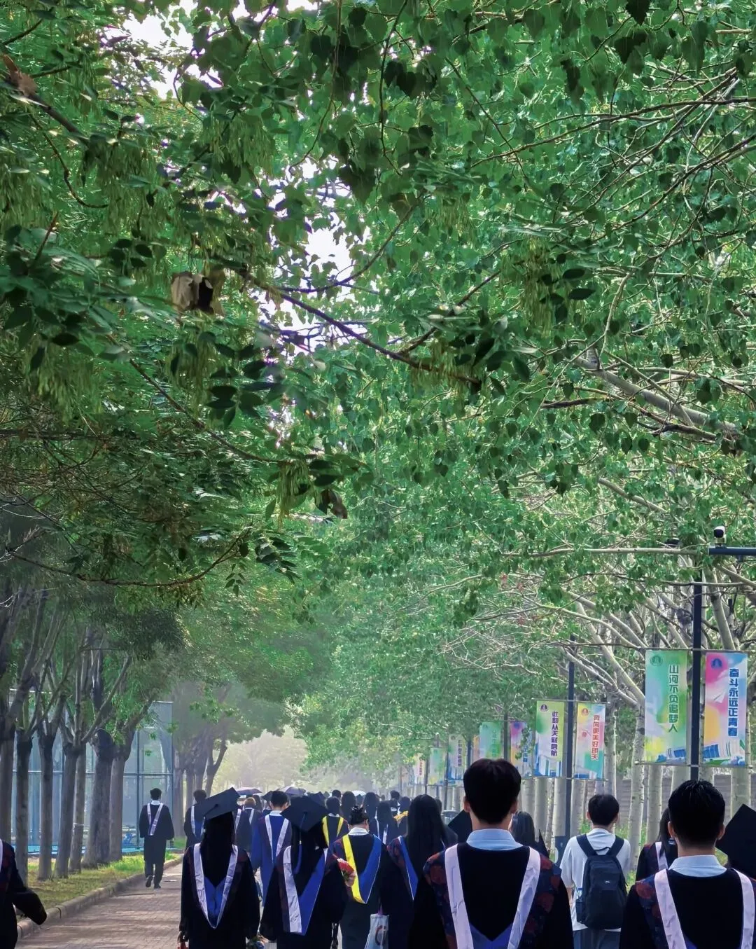 高中为什么没有校霸?? ? 因为他们已经被中考的洪流冲刷到了职高和社会最底层 第20张