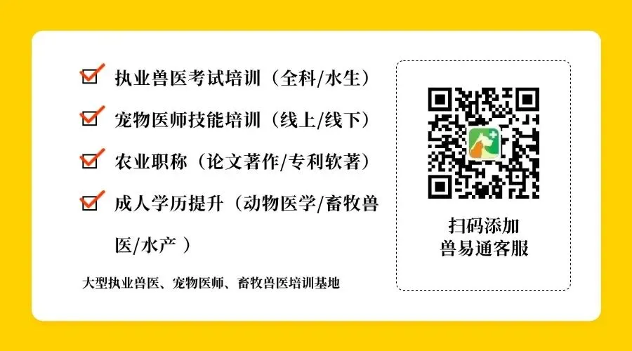 考前刷真题,到底是在“搞心态”还是“稳过”? 第4张