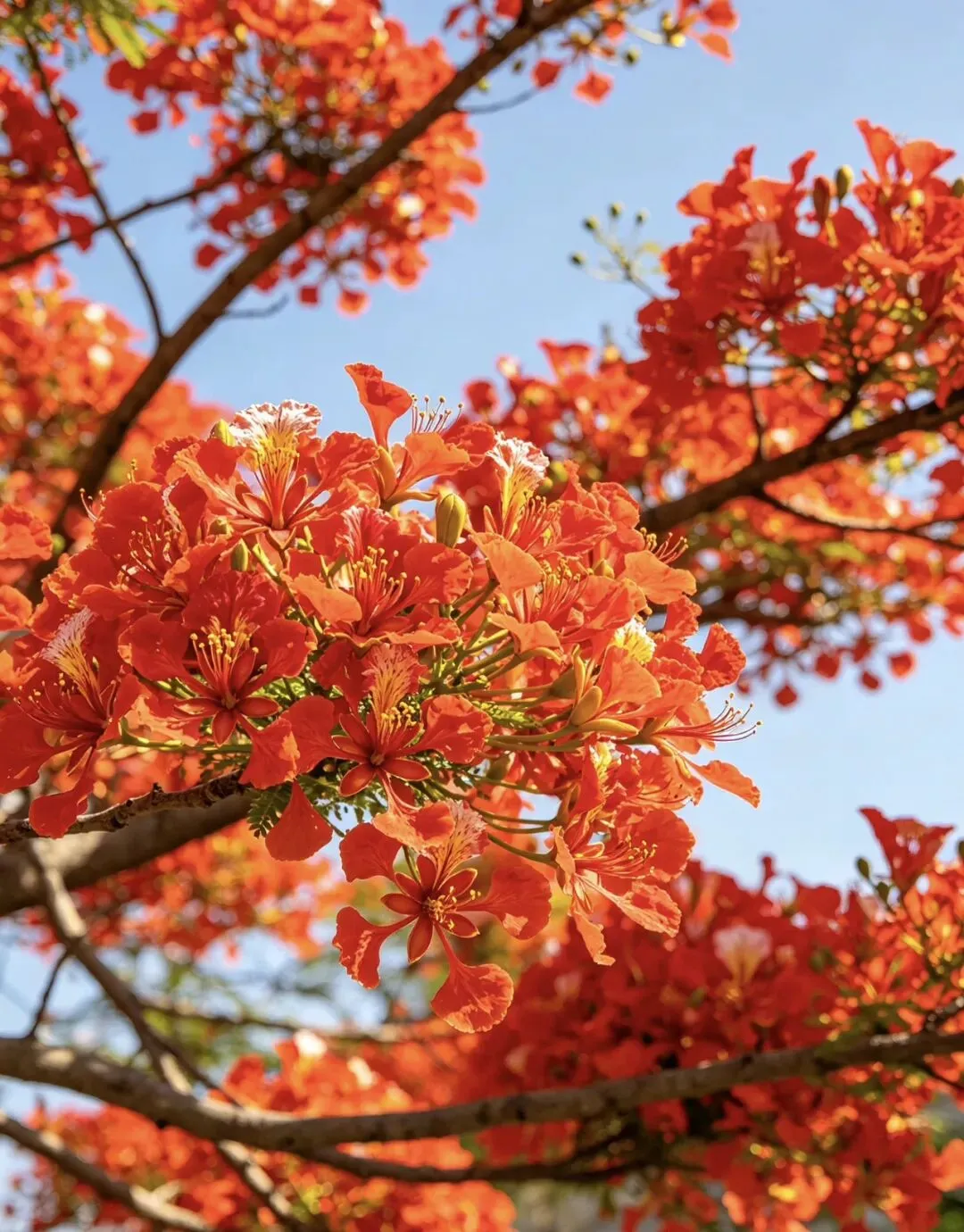 中考倒计时50天:刷题备考,还是赴一场《玛蒂尔达》之约 第8张