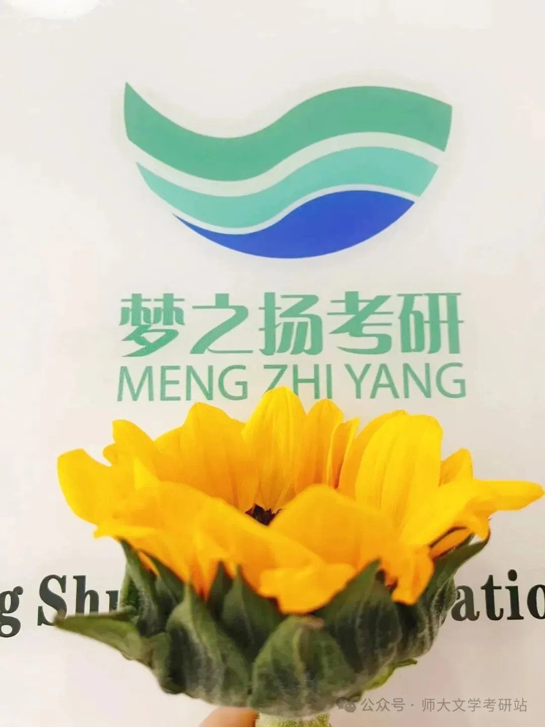 真题回放|2026 年北京语言大学文学考研真题 第49张