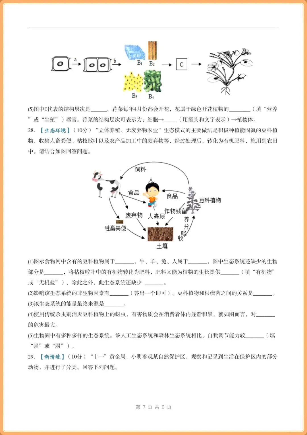 中考冲刺卷|2026年(中考生物)临考冲刺卷+答案解析,电子版可打印! 第7张
