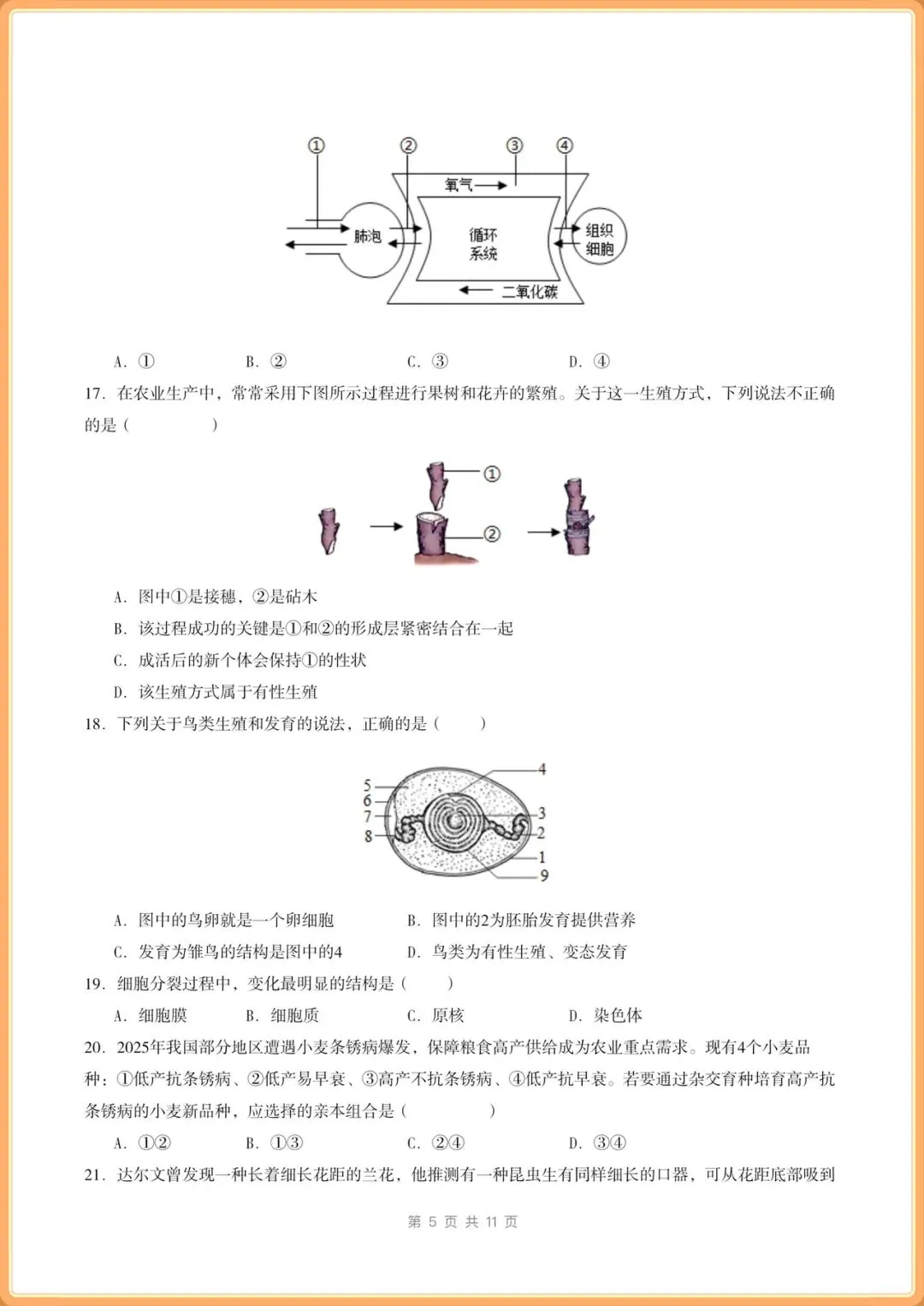 中考冲刺卷|2026年(中考生物)临考冲刺卷+答案解析,电子版可打印! 第19张
