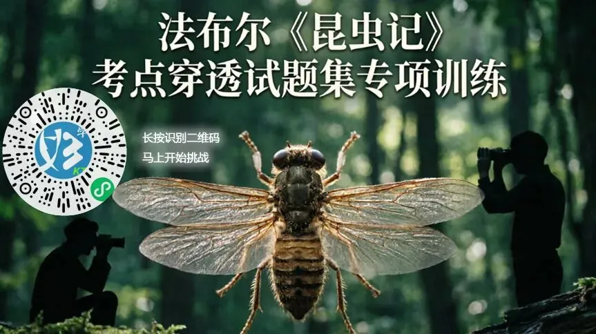 中考必读,成年必悟:为什么我们越长大,越要看懂《昆虫记》里的那只蝉? 第2张
