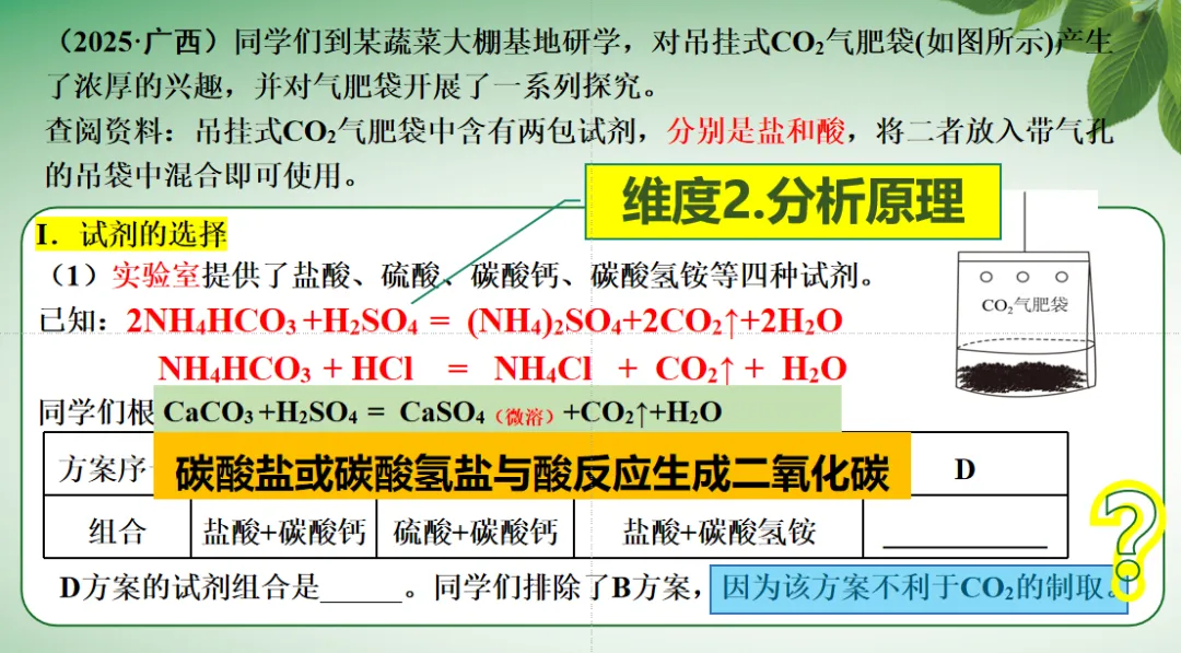 【课例】从真题到模型 探秘“气肥袋”——实验探究专题突破 第34张