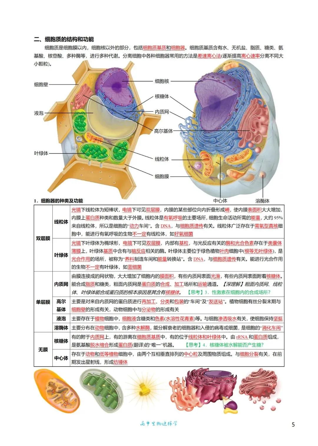 高三考前回归——高中生物基础知识+经典真题 第5张