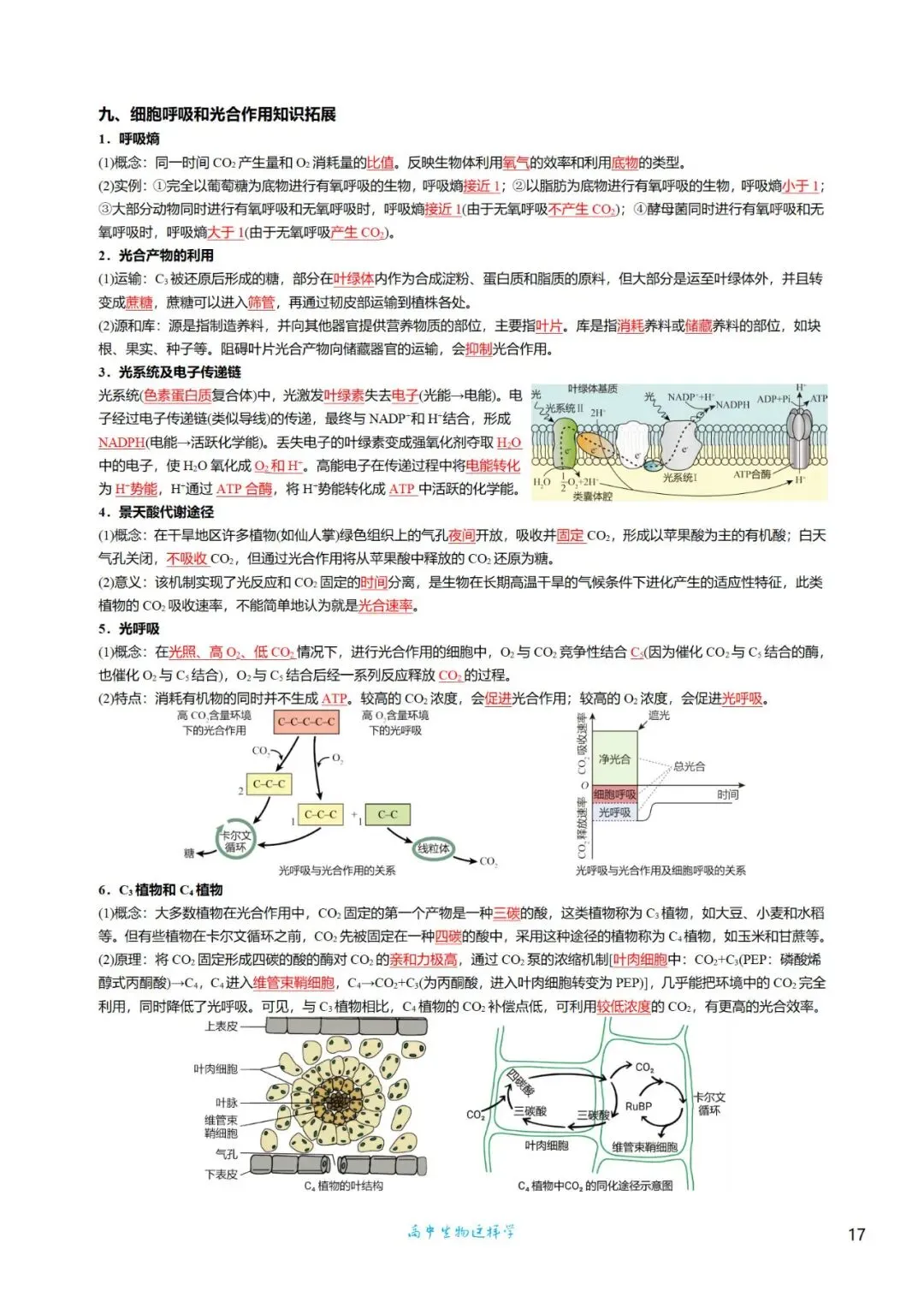 高三考前回归——高中生物基础知识+经典真题 第17张