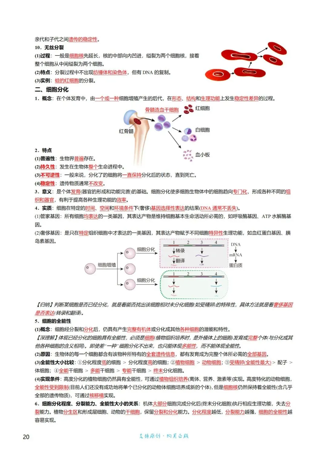 高三考前回归——高中生物基础知识+经典真题 第20张