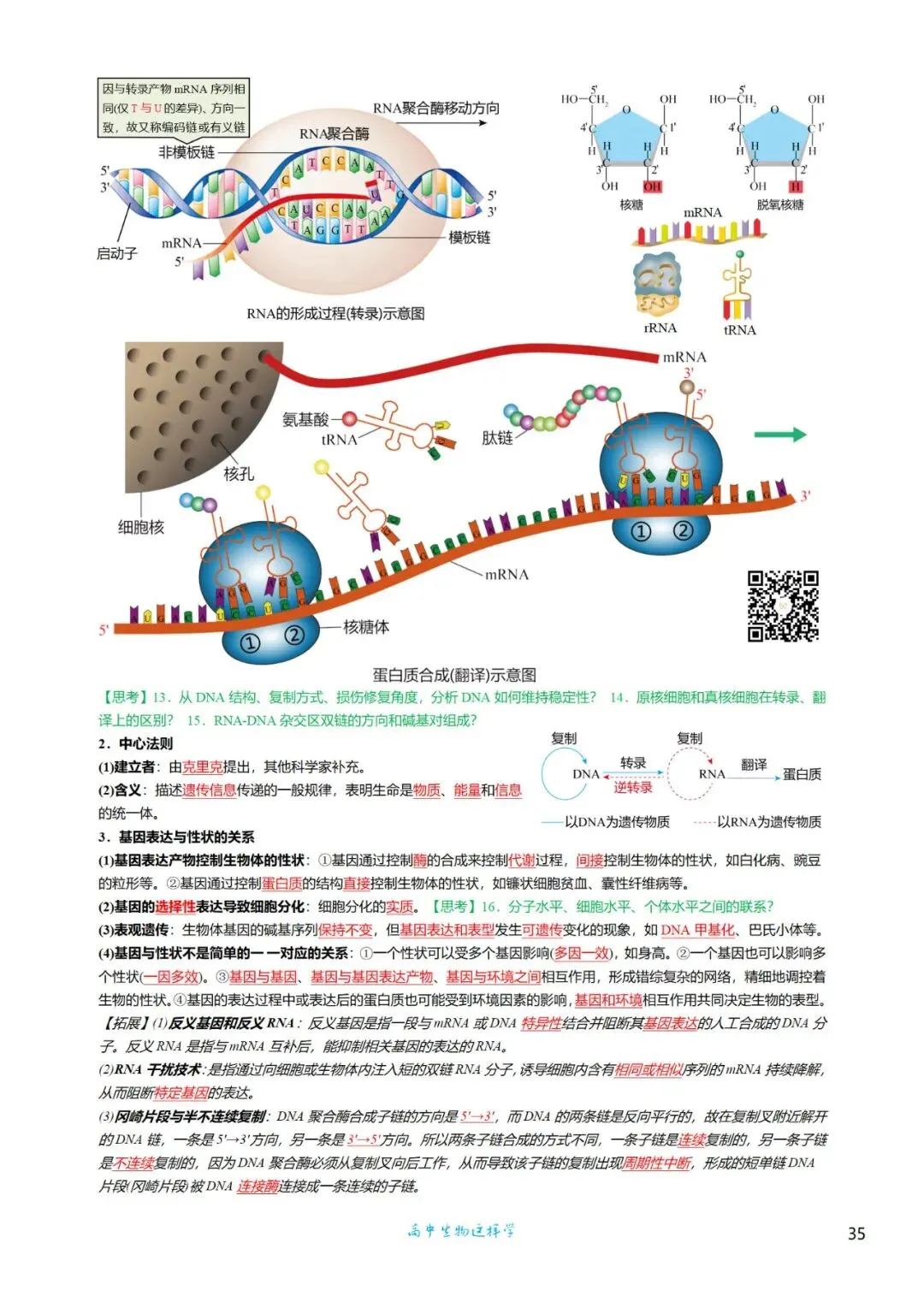 高三考前回归——高中生物基础知识+经典真题 第35张