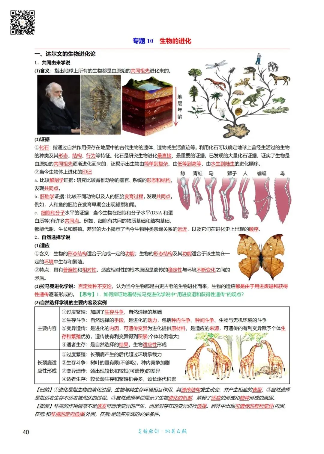 高三考前回归——高中生物基础知识+经典真题 第40张