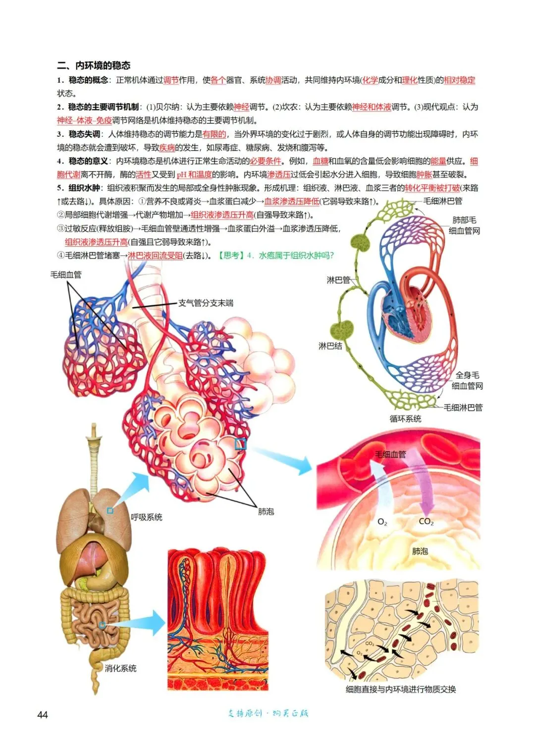 高三考前回归——高中生物基础知识+经典真题 第44张