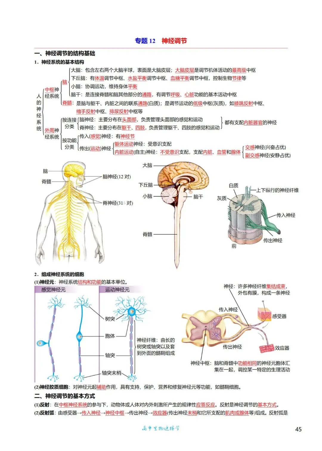 高三考前回归——高中生物基础知识+经典真题 第45张