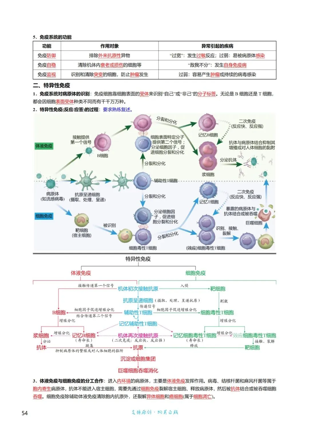 高三考前回归——高中生物基础知识+经典真题 第54张