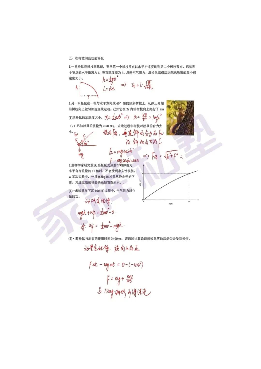 独家解析!2026届上海等级考物理试卷回忆版 第8张