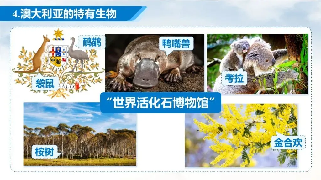 【2026中考复习】专题12《澳大利亚与美国》含知识清单+配套练习~ 第12张