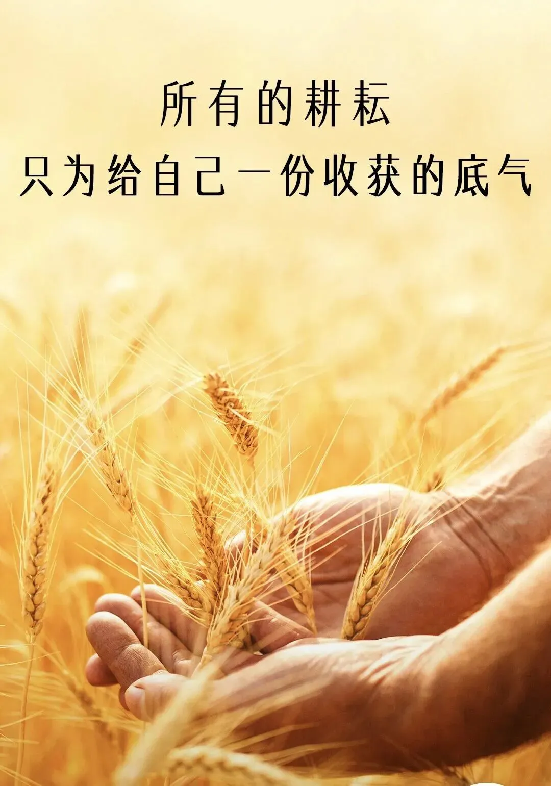 距中考38天 第1张